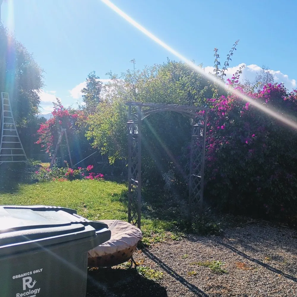 Expert yard cleanup service in Hollister, CA by Vasquez Family Yard Garden