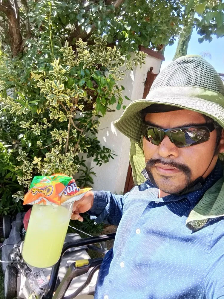 Custom landscaping services in Hollister, CA - Vasquez Family Yard Garden