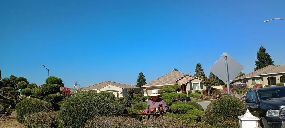 Reliable landscaping services in Hollister, CA by Vasquez Family Yard Garden