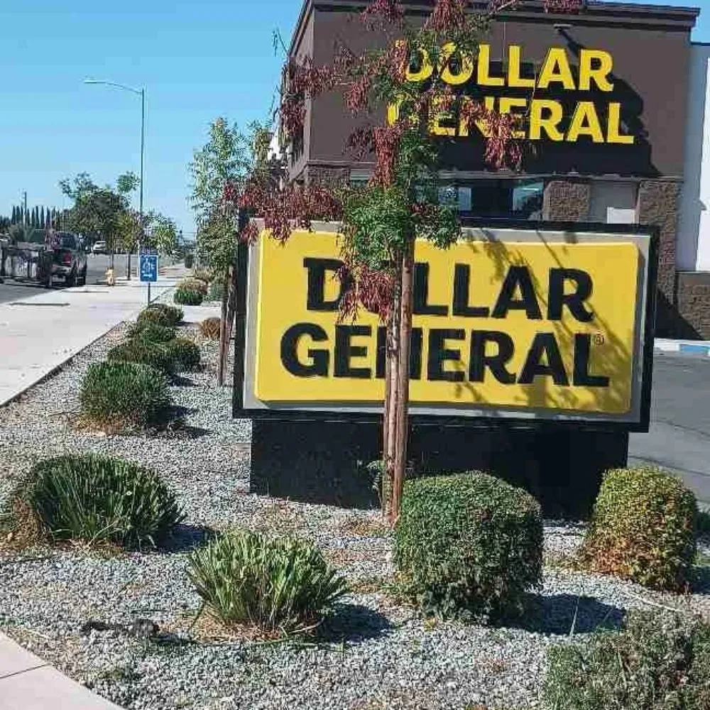 Expert landscape design experts serving Hollister, CA - Vasquez Family Yard Garden