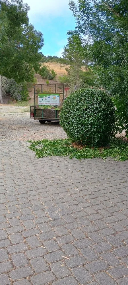 Trusted outdoor landscaping for homes across Hollister, CA - Vasquez Family Yard Garden