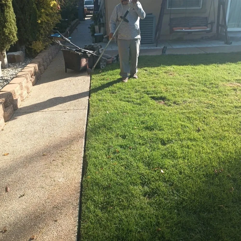 Reliable lawn care service for year-round maintenance in Hollister, CA by Vasquez Family Yard Garden
