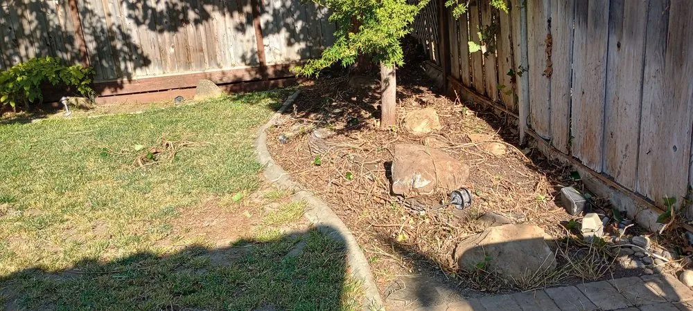 Expert landscape design in Hollister, CA by Vasquez Family Yard Garden