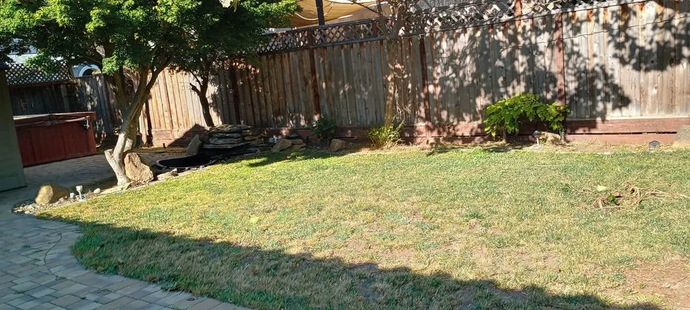 Affordable lawn mowing service in Hollister, CA - Vasquez Family Yard Garden