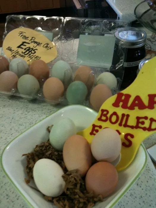 Top-rated garden landscaping for year-round maintenance in Hollister, CA by Vasquez Family Yard Garden