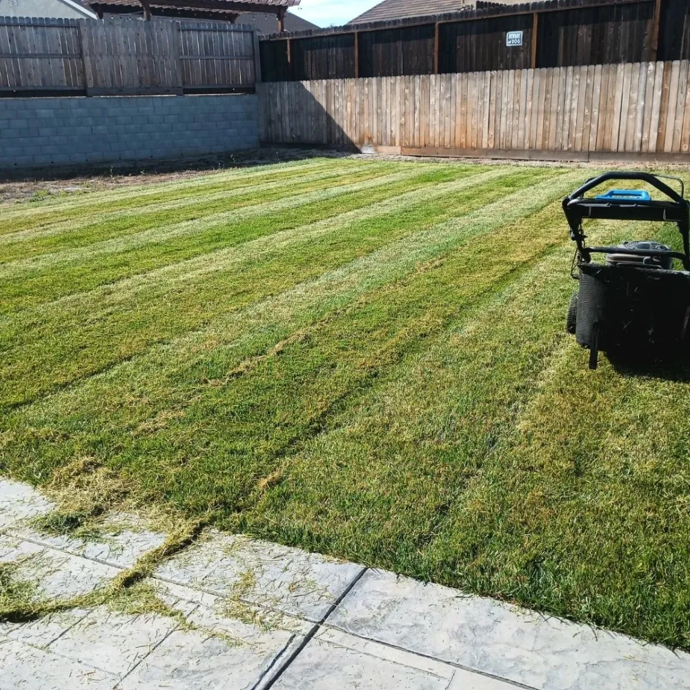 Local outdoor landscaping for outdoor upgrades in Hollister, CA by Vasquez Family Yard Garden