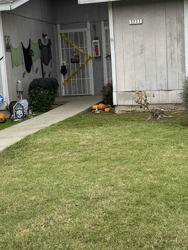 Professional landscape design near you across Merced, CA - Vasquez Handyman