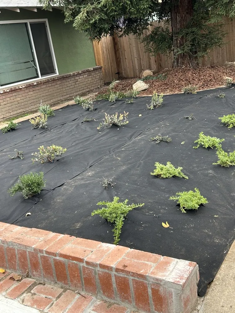 Affordable outdoor landscaping in Merced, CA - Vasquez Handyman