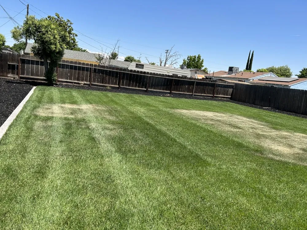 Affordable landscaping services for beautiful yards across Merced, CA - Vasquez Handyman