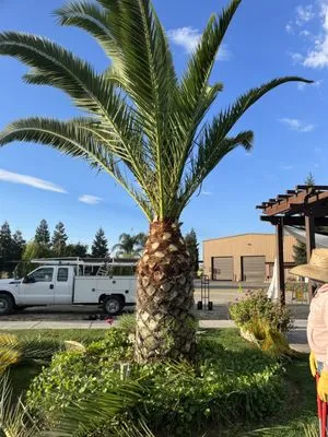 Vasquez Handyman Logo