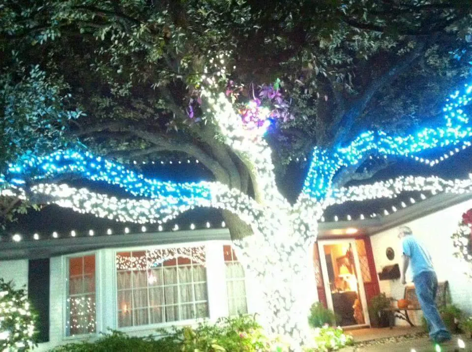 Local yard cleanup service experts serving Oklahoma City, OK - Vasquez Home Projects