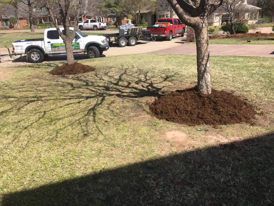 Local yard cleanup service for residential properties in Oklahoma City, OK by Vasquez Home Projects