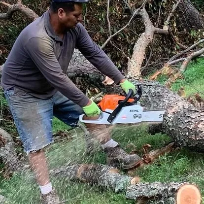 Expert landscape installation for beautiful yards across Danbury, CT - Vasquez K&K