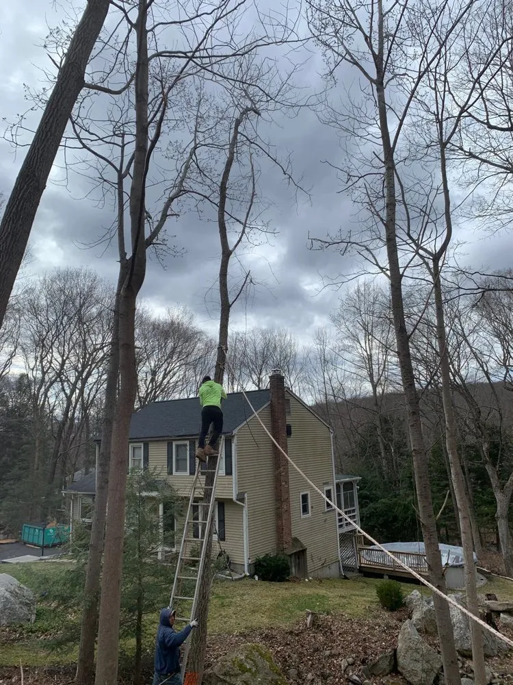 Trusted residential landscaping in Danbury, CT by Vasquez K&K