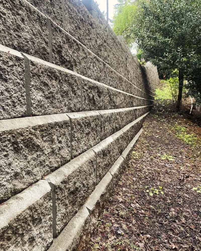 Expert lawn care service in Eugene, OR - Vasquez Landscape