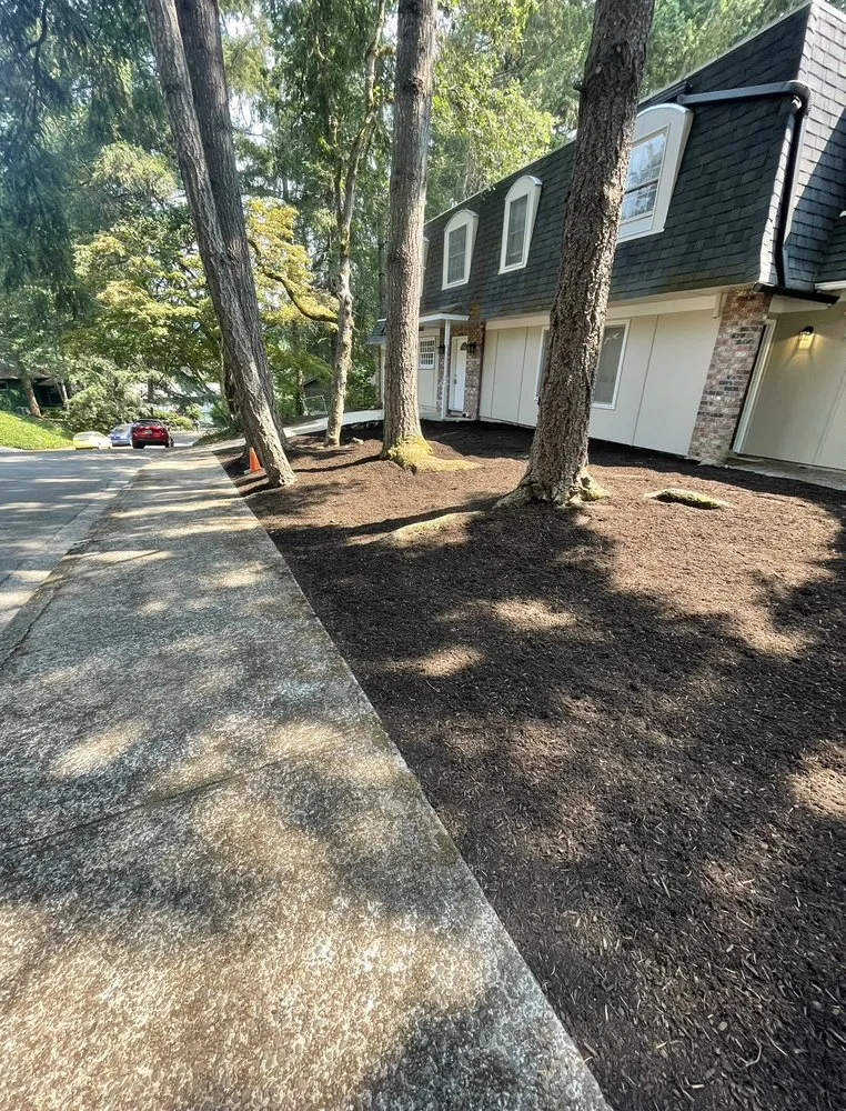 Professional landscaping services in Eugene, OR - Vasquez Landscape