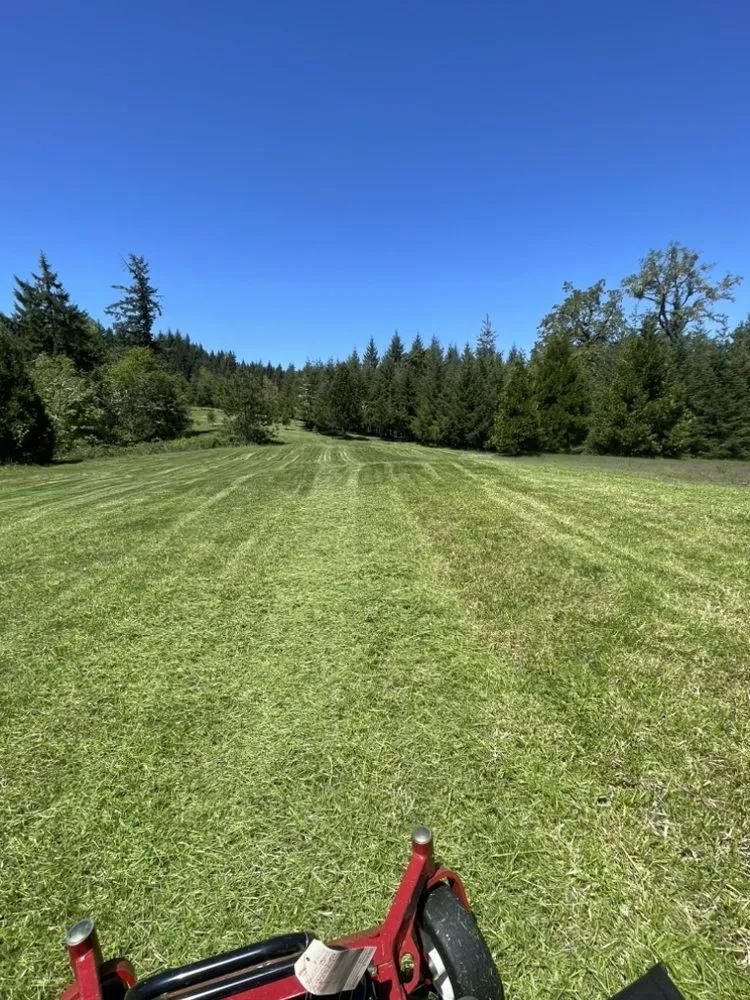 Professional outdoor landscaping for homes in Eugene, OR by Vasquez Landscape