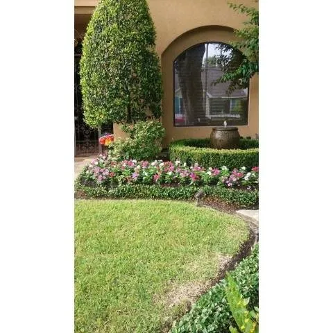 Top-rated lawn mowing service for year-round maintenance in Houston, TX by Vasquez Landscape
