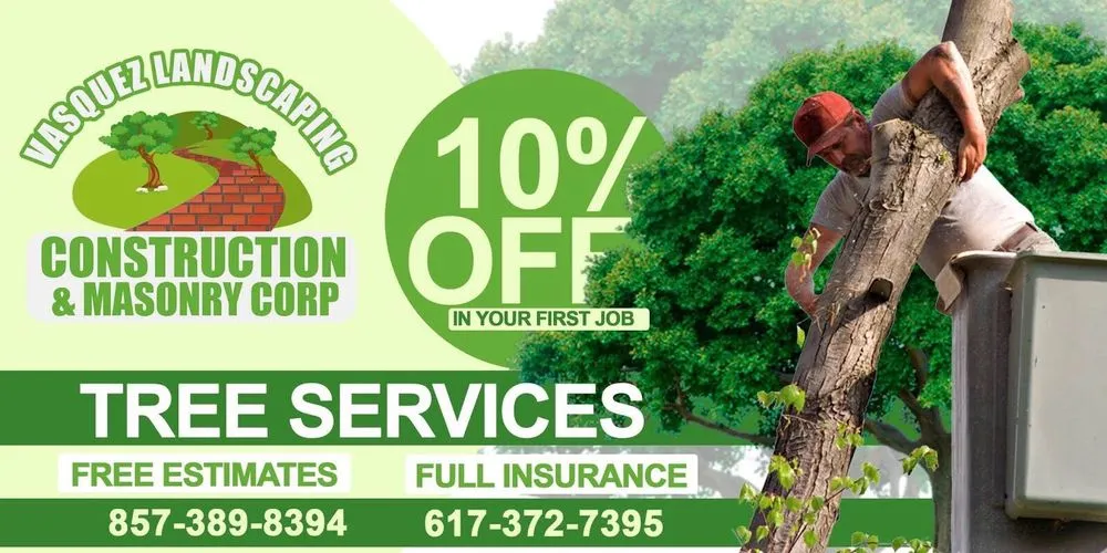 Trusted yard maintenance experts serving Everett, MA - Vasquez Landscaping