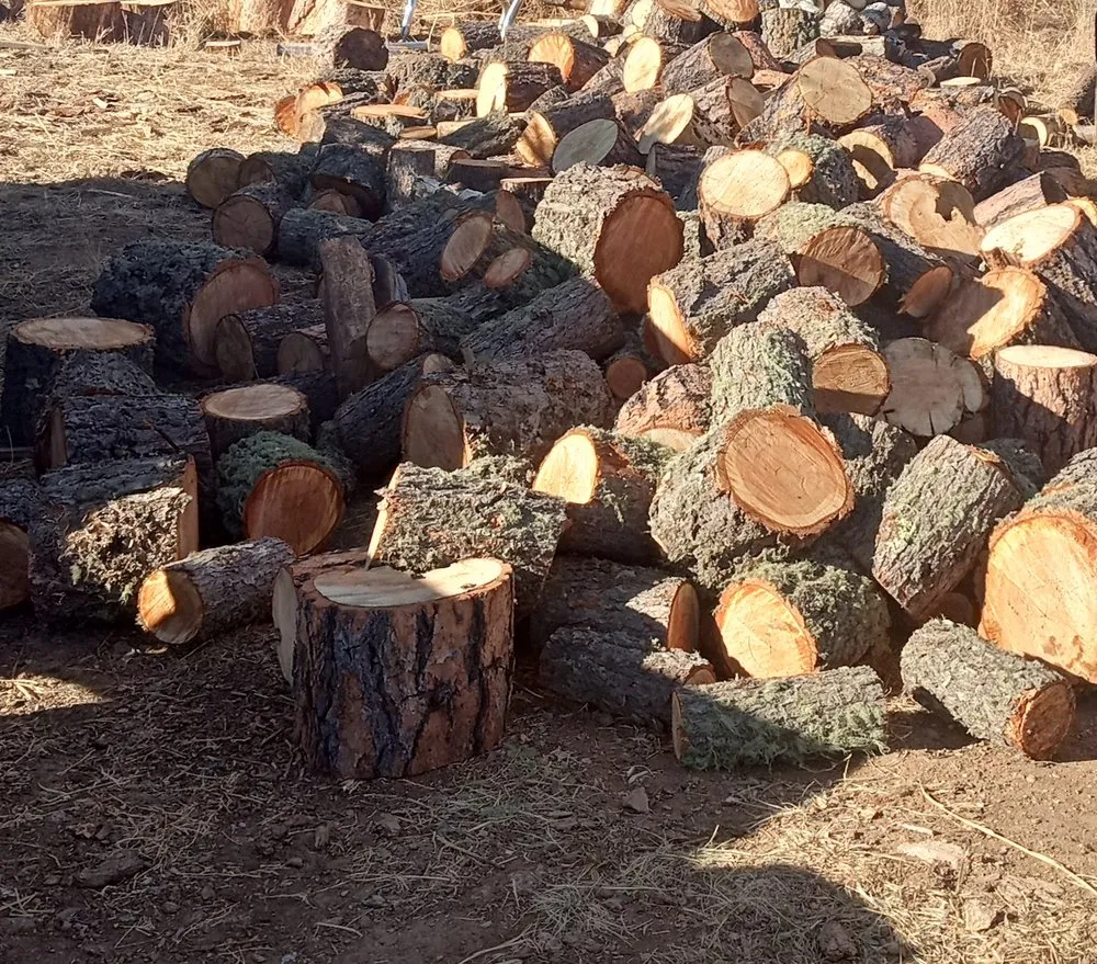 Top-rated landscape installation in Mora, NM by Vasquez Landscaping