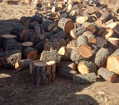 Vasquez Landscaping