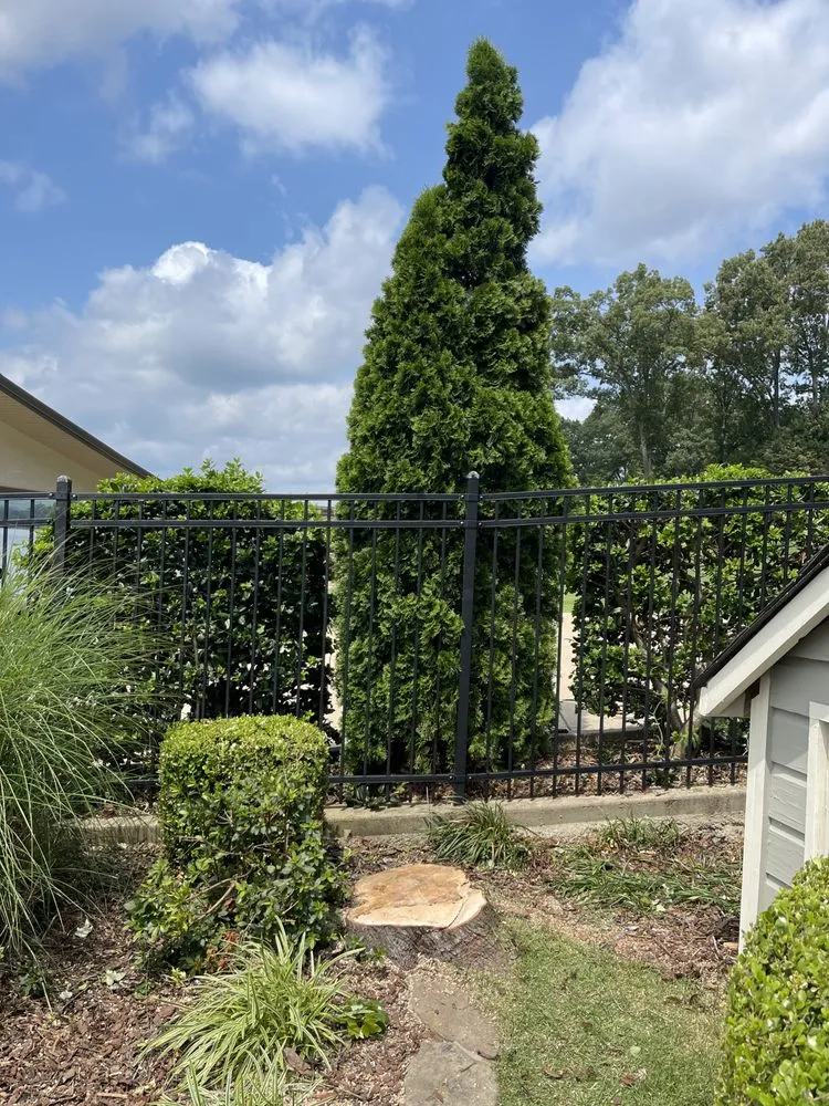 Local yard maintenance with custom design in Hot Springs National Park, AR by Vasquez Lawn & Tree Service