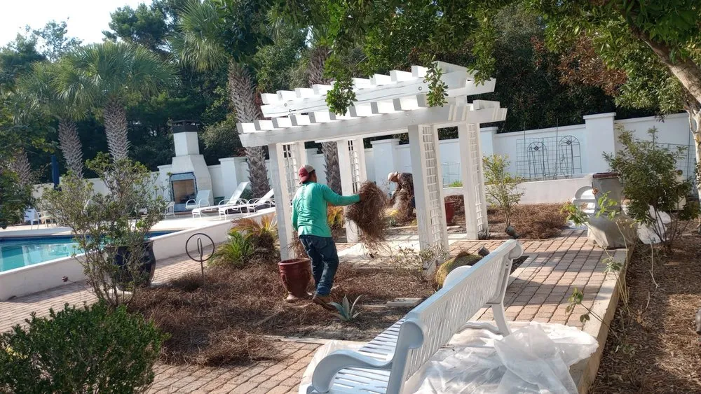 Reliable landscaping services experts serving Freeport, FL - Vasquez Lawn Care and Maintenance