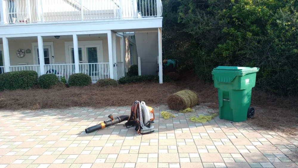 Expert lawn mowing service with custom design in Freeport, FL by Vasquez Lawn Care and Maintenance