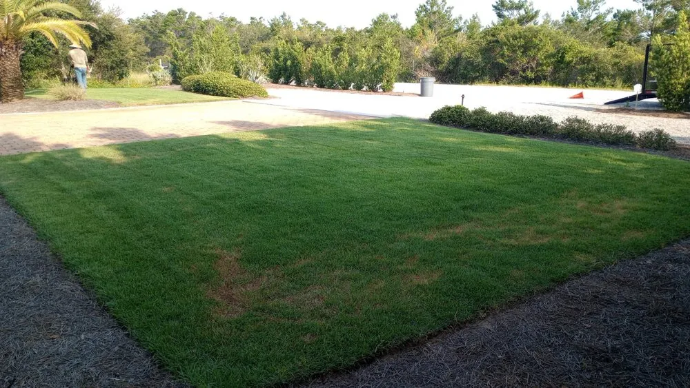 Custom lawn mowing service in Freeport, FL - Vasquez Lawn Care and Maintenance