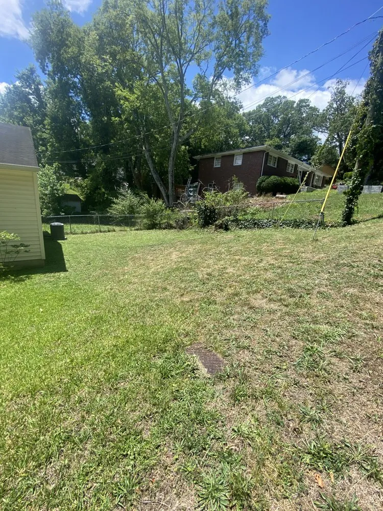 Expert landscaping services for residential properties in Dalton, GA by Vasquez Lawn Care