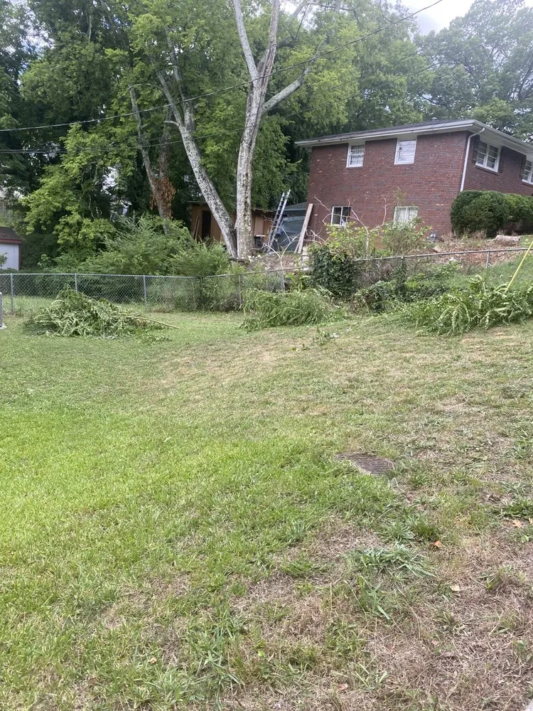 Local yard maintenance for residential properties in Dalton, GA by Vasquez Lawn Care