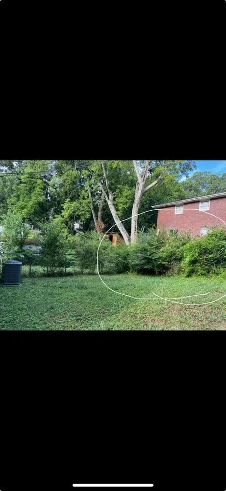 Top-rated yard maintenance for residential properties across Dalton, GA - Vasquez Lawn Care