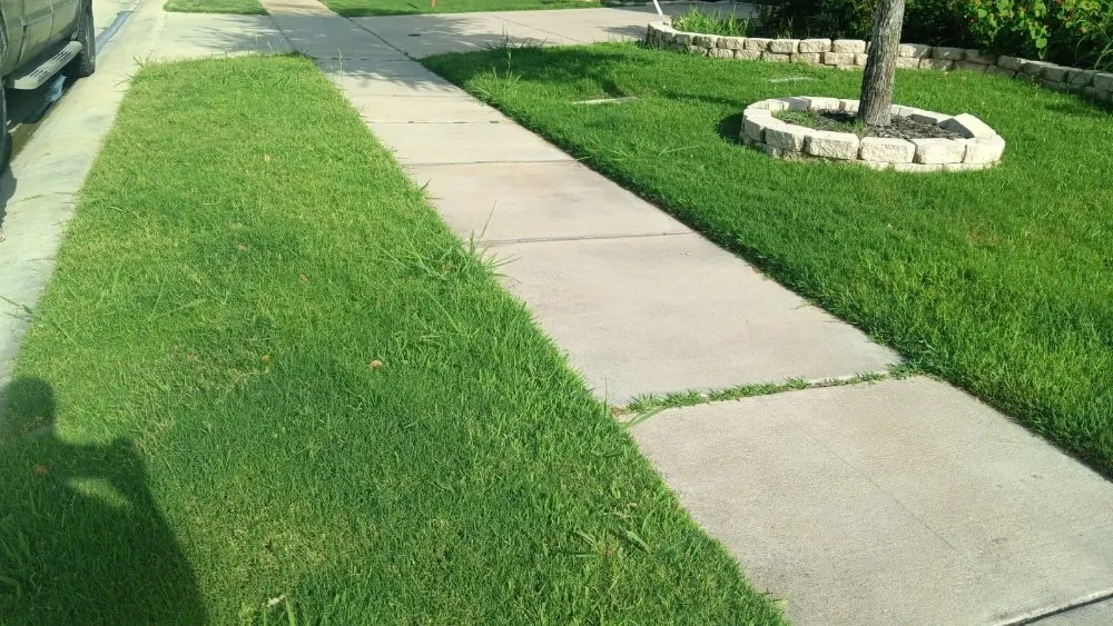 Local yard maintenance in Irving, TX by Vasquez Lawn Care Services