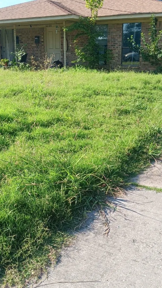 Professional residential landscaping experts serving Irving, TX - Vasquez Lawn Care Services