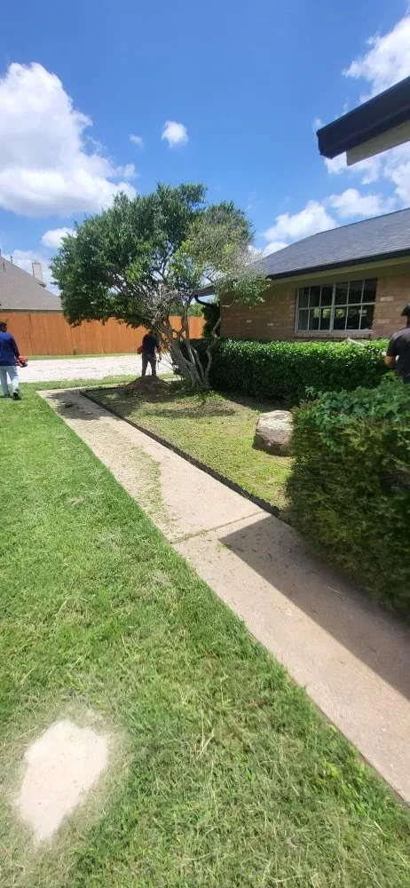Professional yard maintenance in Irving, TX by Vasquez Lawn Care Services