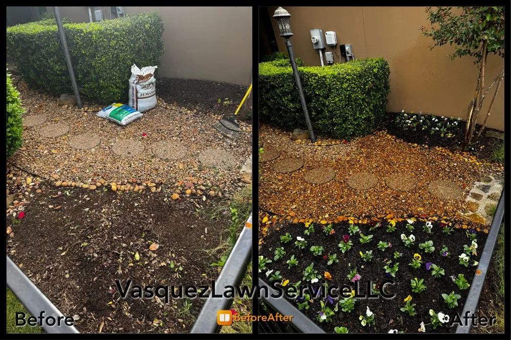 Professional lawn mowing service for residential properties in Plano, TX by Vasquez lawn service