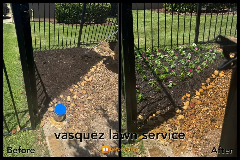 Professional landscape installation for beautiful yards across Plano, TX - Vasquez lawn service
