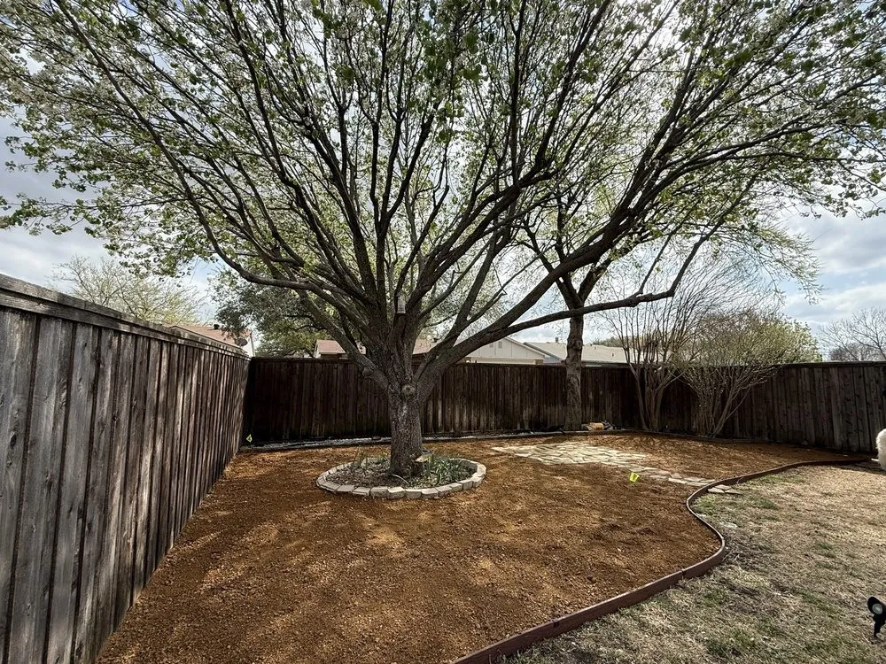 Professional yard cleanup service in Plano, TX by Vasquez lawn service
