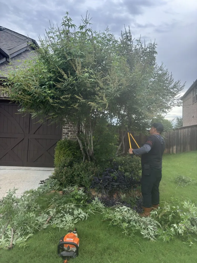Reliable landscaping services in Plano, TX - Vasquez lawn service