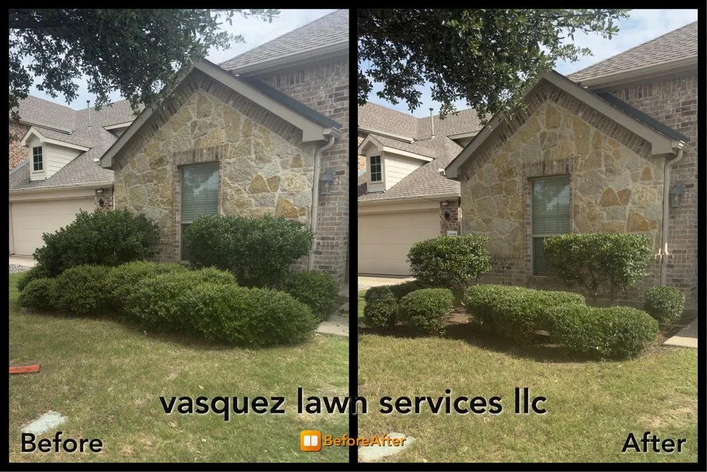 Reliable landscaping services in Plano, TX by Vasquez lawn service