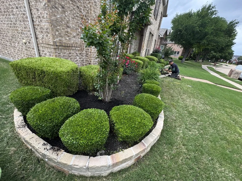 Top-rated landscape installation for beautiful yards in Plano, TX by Vasquez lawn service