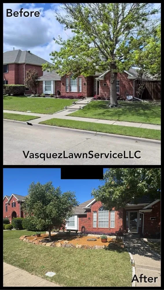 Top-rated lawn care service for beautiful yards across Plano, TX - Vasquez lawn service