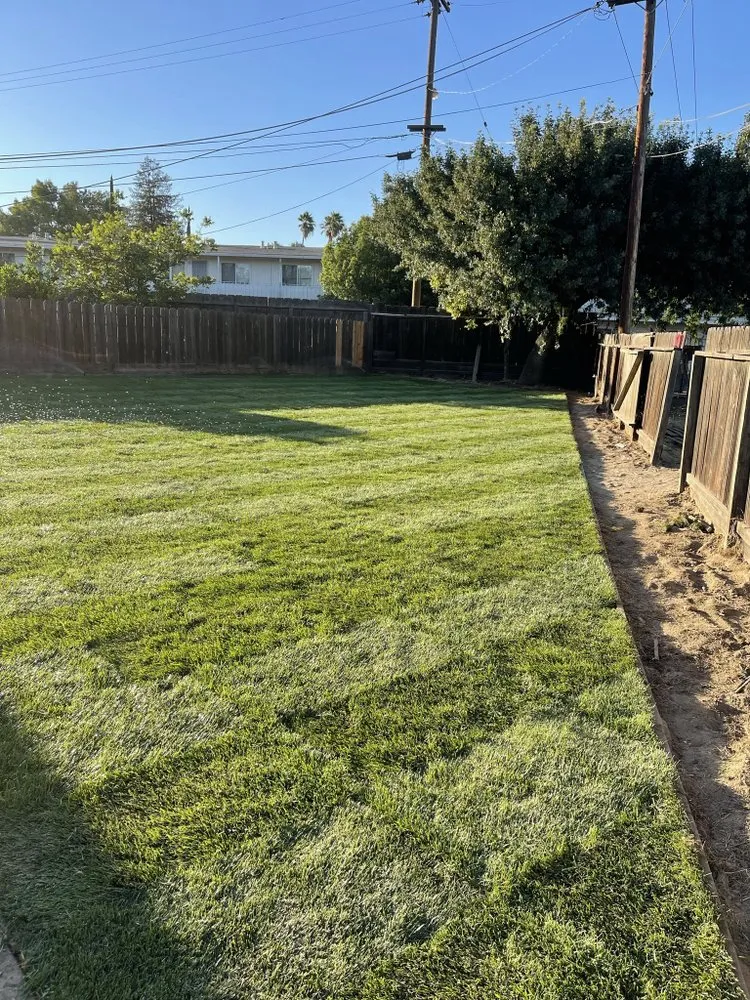 Local landscape installation in Waterford, CA - Vasquez Services
