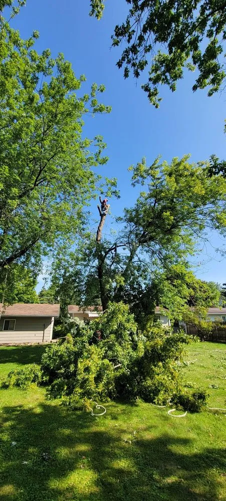 Trusted lawn care service for year-round maintenance in Saginaw, MI by Vasquez Solutions