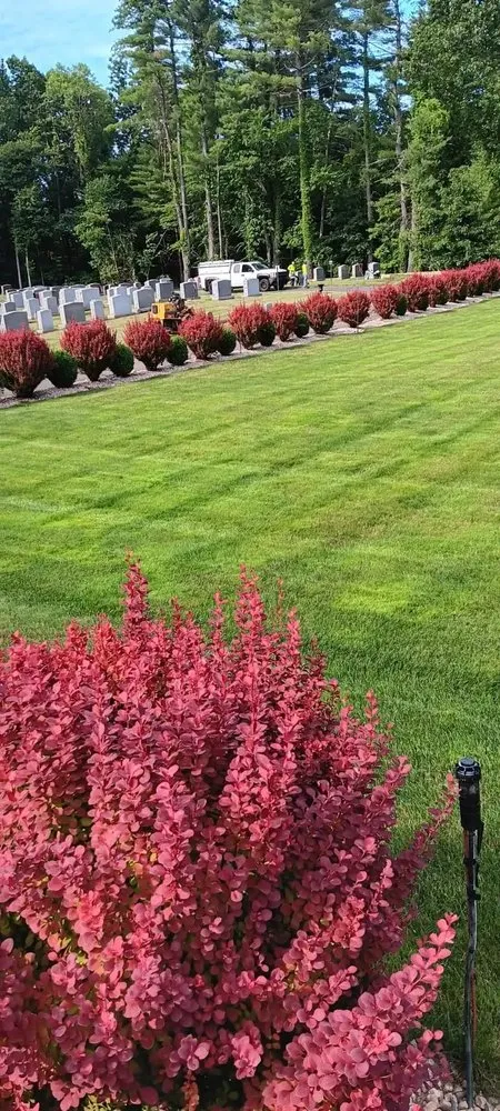 Expert garden landscaping in East Hartford, CT by Vasquez Tree & Landscaping Service