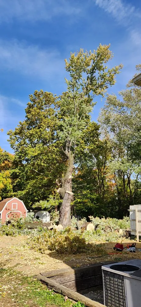 Reliable outdoor landscaping for outdoor upgrades across Cincinnati, OH - Vasquez Tree service & landscaping