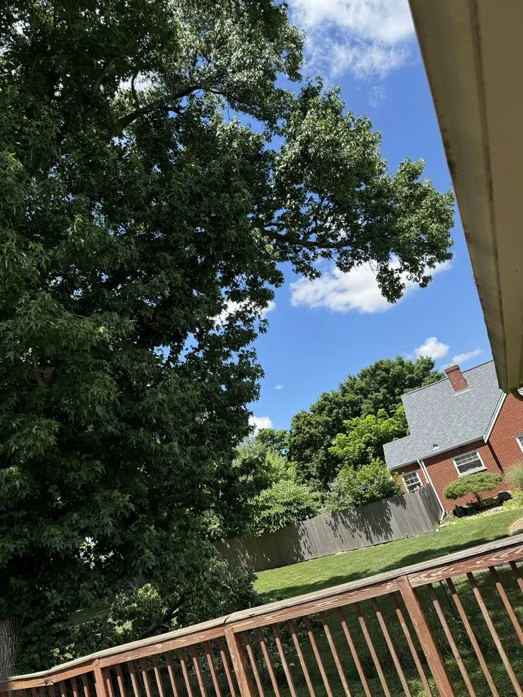 Top-rated yard cleanup service in Cincinnati, OH by Vasquez Tree service & landscaping