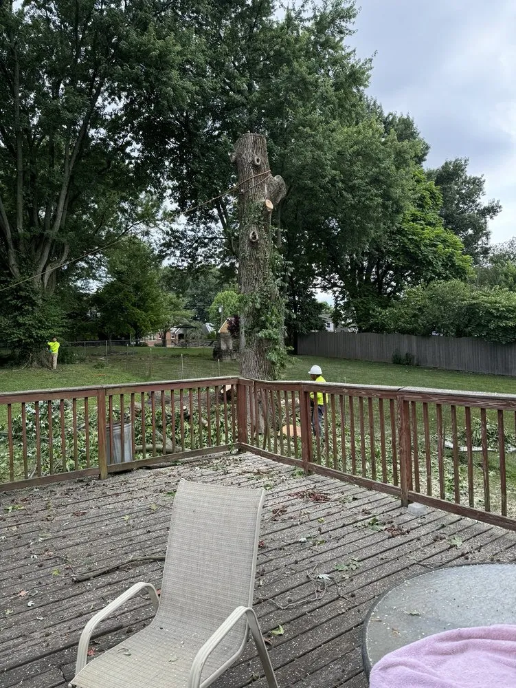 Trusted landscape design in Cincinnati, OH - Vasquez Tree service & landscaping
