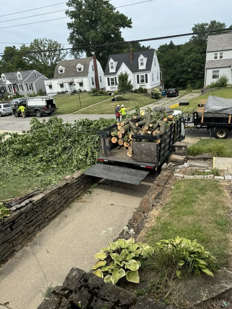 Custom landscape installation experts serving Cincinnati, OH - Vasquez Tree service & landscaping