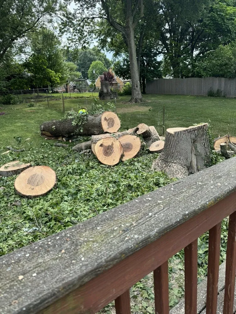 Reliable outdoor landscaping for homes in Cincinnati, OH by Vasquez Tree service & landscaping